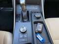 Lexus IS 200 IS 2.5 Hybrid 300h Bi-Xenon Sitzbelüftung Leder Grau - thumbnail 29