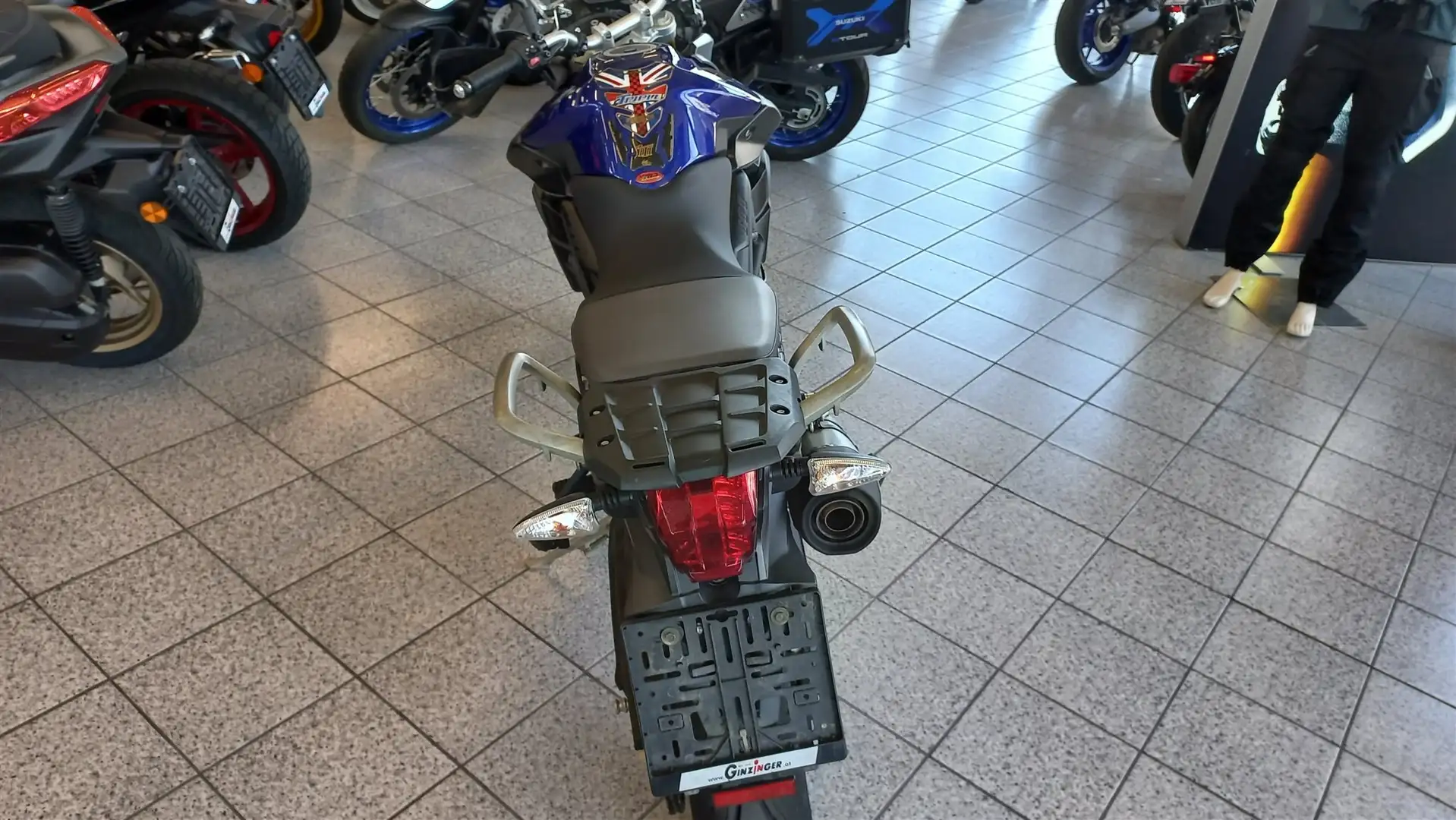 Triumph Tiger 800 Bleu - 2