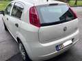 Fiat Grande Punto Grande Punto 1,2 Actual Actual Weiß - thumbnail 5