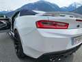 Chevrolet Camaro Camaro V8 Cabrio Aut. Weiß - thumbnail 2
