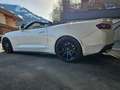 Chevrolet Camaro Camaro V8 Cabrio Aut. Weiß - thumbnail 45