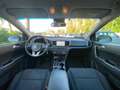 Kia Sportage Sportage 1.6 crdi mhev Business 2wd 136cv dct Gris - thumbnail 14