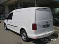 Volkswagen Caddy Maxi 2.0 TDI DSG 4Motion NAVI GRA RFK Regale Weiß - thumbnail 4