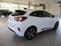 Ford Puma Puma 1.0 ecoboost hybrid ST-Line 125CV Aut. - KM0 Bianco - thumbnail 18