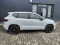 SEAT Ateca FR 1.5 TSI ACT DSG, AHV 19" Alcantara Weiß - thumbnail 6