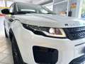 Land Rover Range Rover Evoque RR Evoque 2.0 TD4 150 CV 5p. HSE Bianco - thumbnail 14