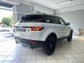 Land Rover Range Rover Evoque RR Evoque 2.0 TD4 150 CV 5p. HSE Bianco - thumbnail 6