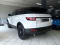 Land Rover Range Rover Evoque RR Evoque 2.0 TD4 150 CV 5p. HSE Bianco - thumbnail 4
