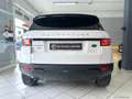 Land Rover Range Rover Evoque RR Evoque 2.0 TD4 150 CV 5p. HSE Bianco - thumbnail 5