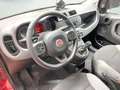 Fiat Panda City Life Hybrid 1.0 Gse 51kw (70CV) Rot - thumbnail 5
