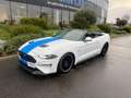 Ford Mustang GT CABRIOLET V8 5.0L BVA10 Blanc - thumbnail 5