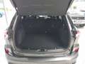 Ford Kuga Hybrid ST-Line X FHEV 190 4x4 Autom. #AHK Grau - thumbnail 9