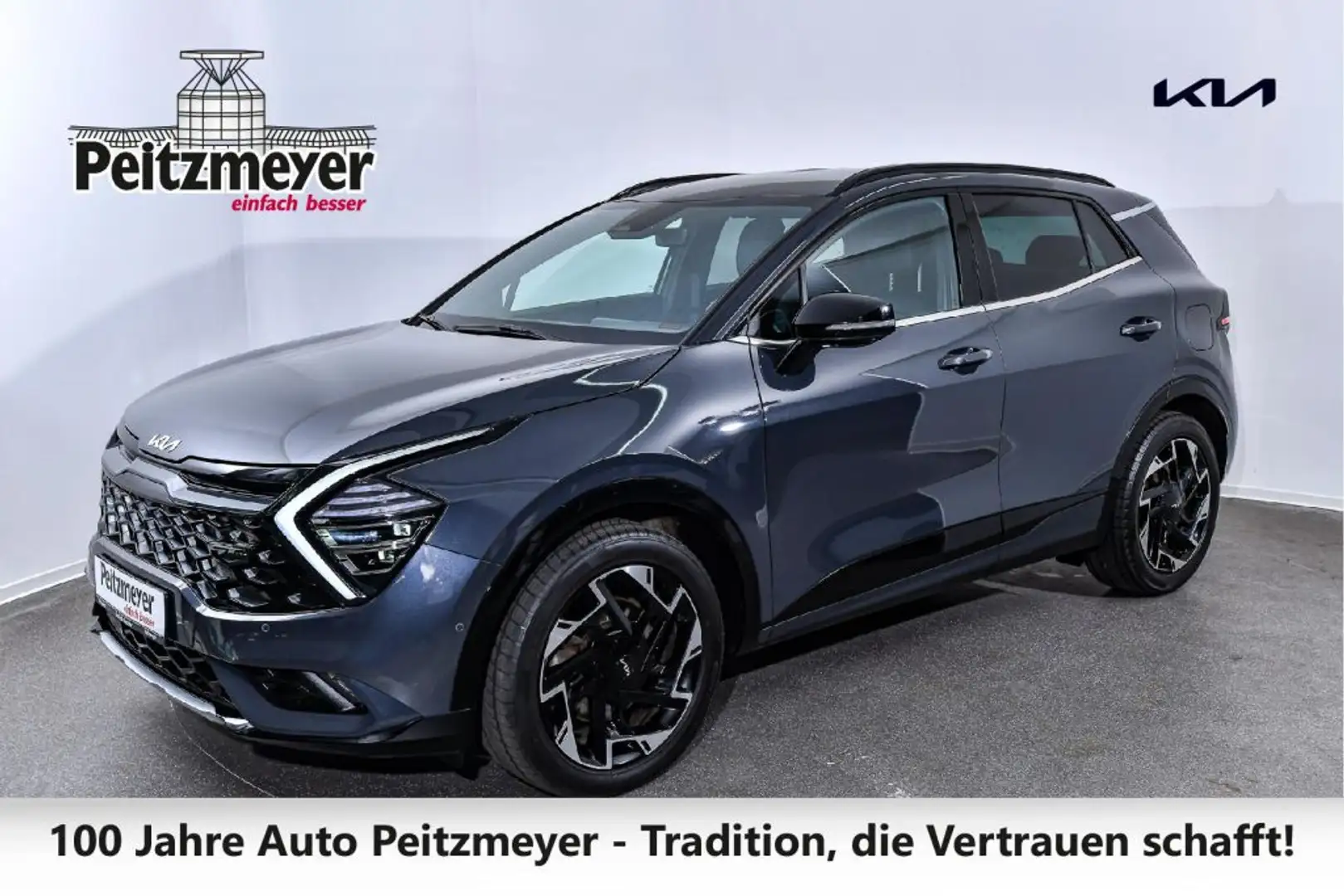 Kia Sportage 1.6 T-GDI AWD Plug-in Hybrid Paket GT-Line Grau - 1