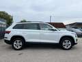 Skoda Kodiaq 2,0 TDI Ambition DSG| AHK*VIRTUAL Weiß - thumbnail 2