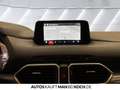 Mazda CX-5 SKY-G 165PS Exclusive Navi LED HUD SHZ 360 Weiß - thumbnail 12