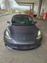 Tesla Model 3 Model 3 Performance AWD Grau - thumbnail 5