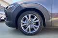 Mazda CX-30 2.0L Skyactiv-G M Hybrid 2WD Executive Grigio - thumbnail 7