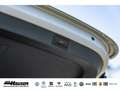 Skoda Octavia Combi RS First Edition 2.0 TSI DSG STANDHZG AHK DC Šedá - thumbnail 11