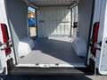 Fiat Ducato Ducato/OPEL MOVANO 3-Sitze KASTEN Netto:13.997Eur L1H1 NUR Händler/EXPORT Kein Pickerl - thumbnail 12