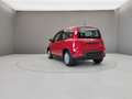 Fiat Panda 1.0 HYBRID 70CV Red - thumbnail 5