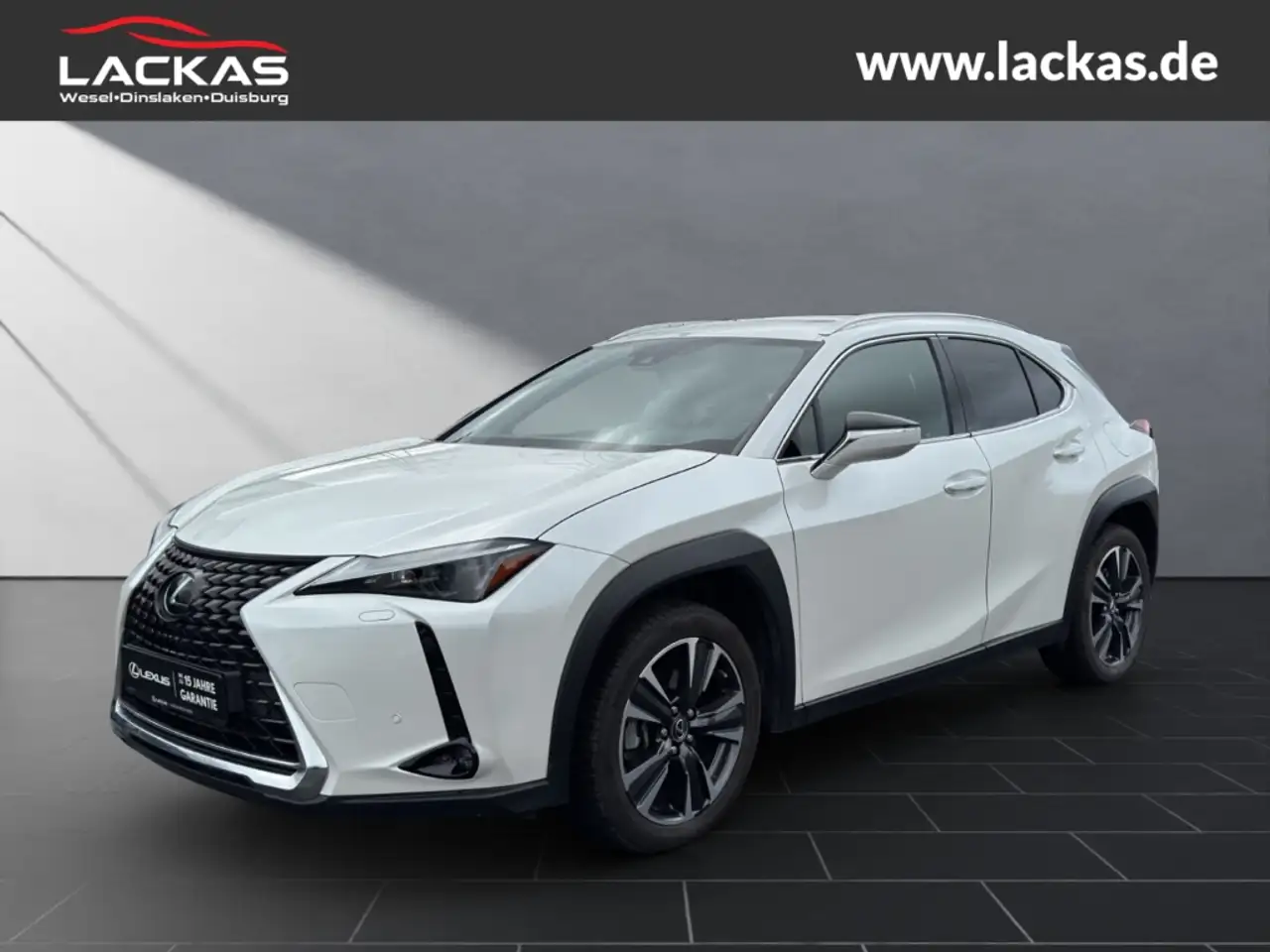 Lexus UX 250h