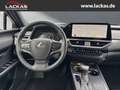 Lexus UX 250h Executive +Premium Paket HUD El. Panodach Navi Led Weiß - thumbnail 13