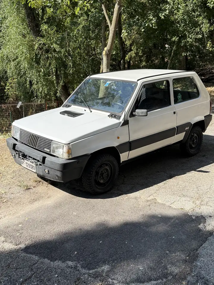 Fiat Panda 1.0 4x4 my85, foto 1