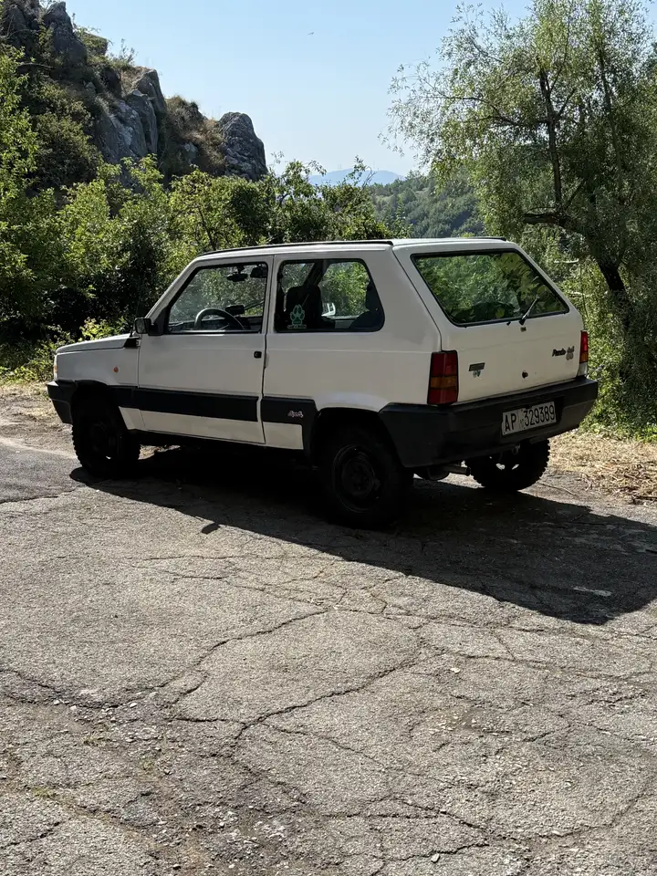 Fiat Panda 1.0 4x4 my85, foto 3