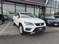 SEAT Ateca 1.6 TDI XCELLENCE Blanco - thumbnail 3
