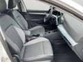 Volkswagen Golf VIII 1.5 eTSI DSG Goal AHK/LED/KAMERA/ACC Weiß - thumbnail 15