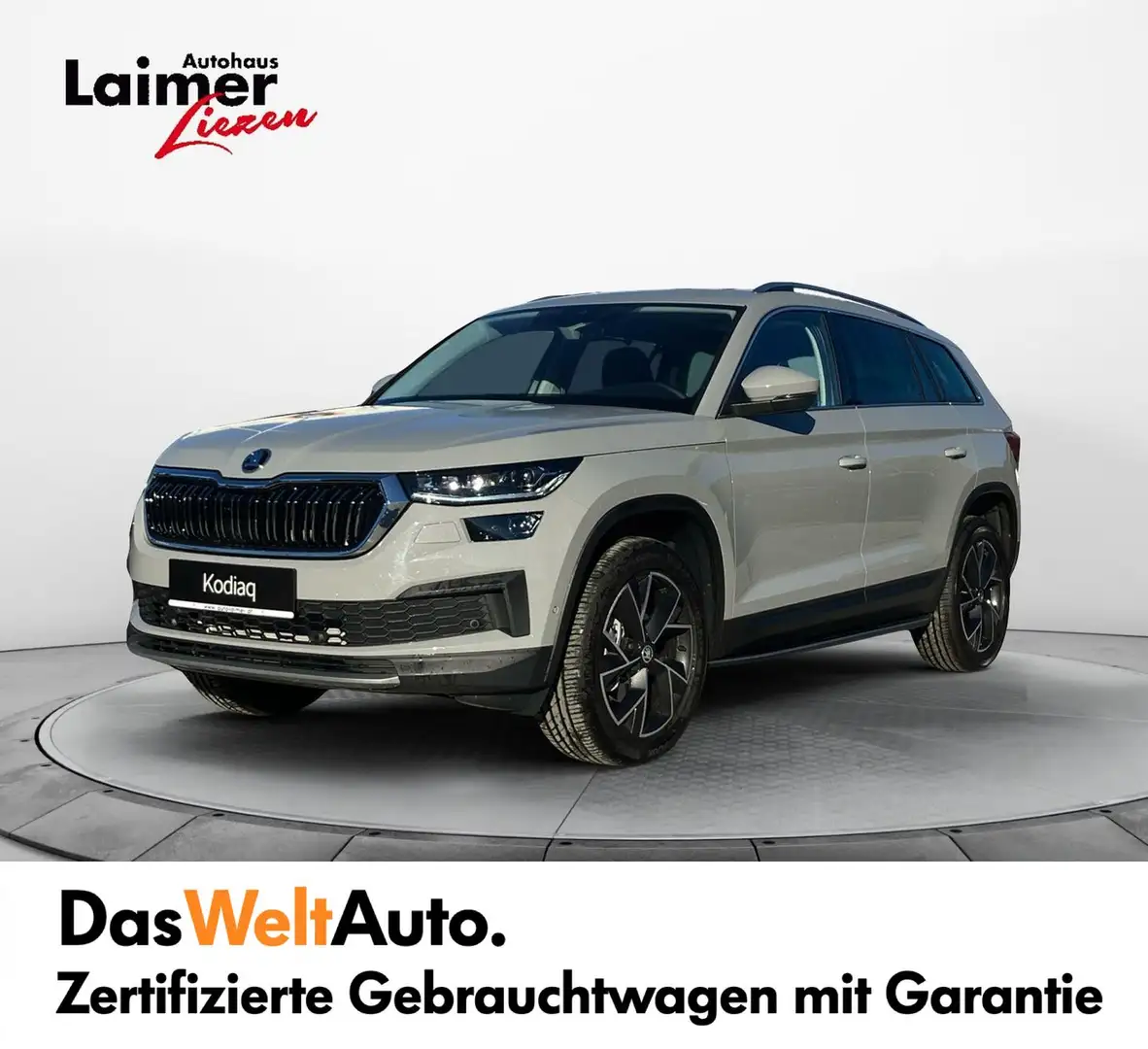 Skoda Kodiaq 4x4 Style TDI DSG Grau - 1