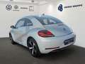 Volkswagen Beetle 1.2TSI Exclusive Design+Navi+ Silber - thumbnail 5