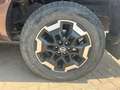Nissan Navara 4x4 Doppelkabine dCi Bruin - thumbnail 8