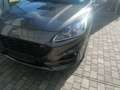 Ford Kuga 2,0 EcoBlue Hybrid St Line Aut. Grau - thumbnail 9