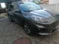 Ford Kuga 2,0 EcoBlue Hybrid St Line Aut. Grau - thumbnail 7