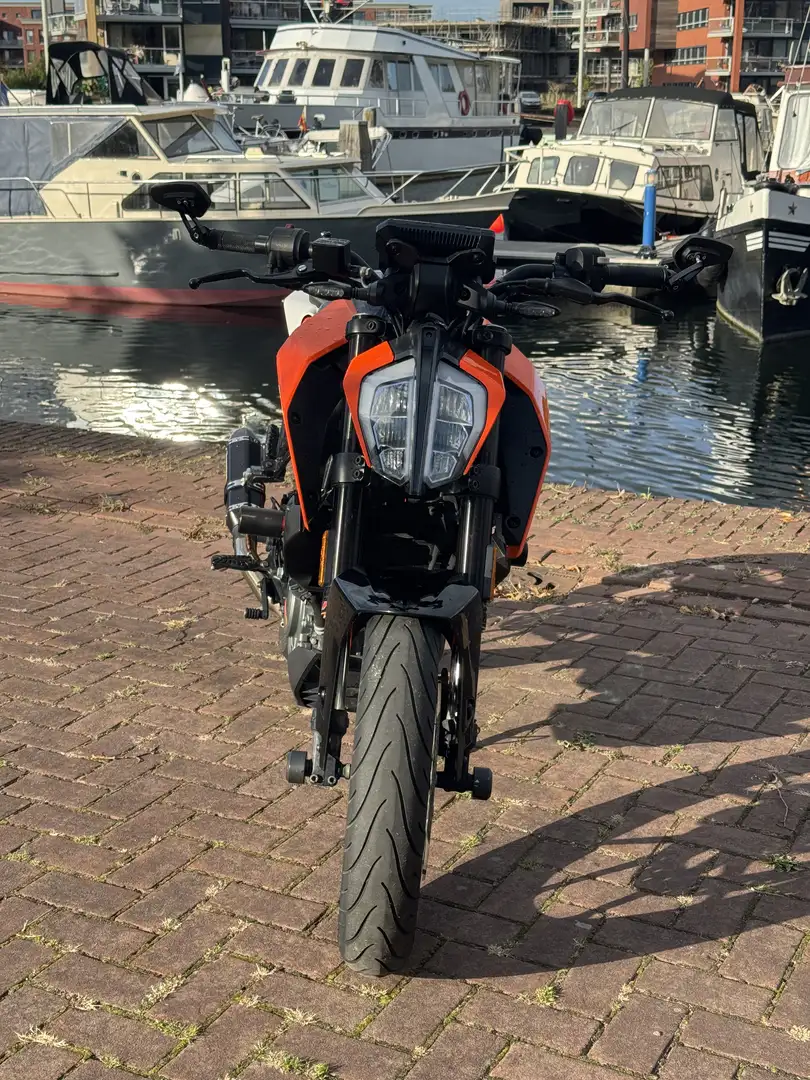 KTM 125 Duke A1 11kw akrapovic 2019 Oranje - 2