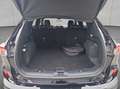 Ford Kuga 2.5 Duratec PHEV ST-LINE X*AHK*LED*KAMERA* Schwarz - thumbnail 6