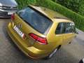 Volkswagen Golf VII Variant BlueMotion TGI ACC KAM NAV MFL Jaune - thumbnail 15