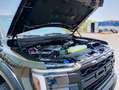 Ford F 150 Ford F-150 Raptor R  SuperCrew Cab Grün - thumbnail 8