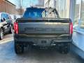 Ford F 150 Ford F-150 Raptor R  SuperCrew Cab 4.59% Grün - thumbnail 9
