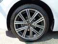 Audi A1 SPB 25 TFSI Admired Bianco - thumbnail 12