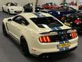 Ford Mustang USA Fastback 5.2i V8 Shelby GT350 526PK Heritage E Blanc - thumbnail 31