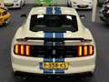 Ford Mustang USA Fastback 5.2i V8 Shelby GT350 526PK Heritage E Blanc - thumbnail 33