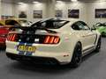 Ford Mustang USA Fastback 5.2i V8 Shelby GT350 526PK Heritage E Blanc - thumbnail 9