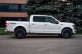 Ford F 150 F150 Platinum 4x4/AHK/360/B&O/PANO/Massage/4xSHZ Weiß - thumbnail 7