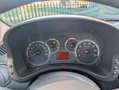 Fiat Panda Panda 1.2 Emotion Grigio - thumbnail 14