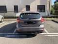 Ford Focus 5p 1.6 tdci Plus 95cv - thumbnail 13