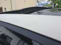 Ford Fiesta Vignale Panorama LED Navi Leder Allwetter Blanco - thumbnail 30