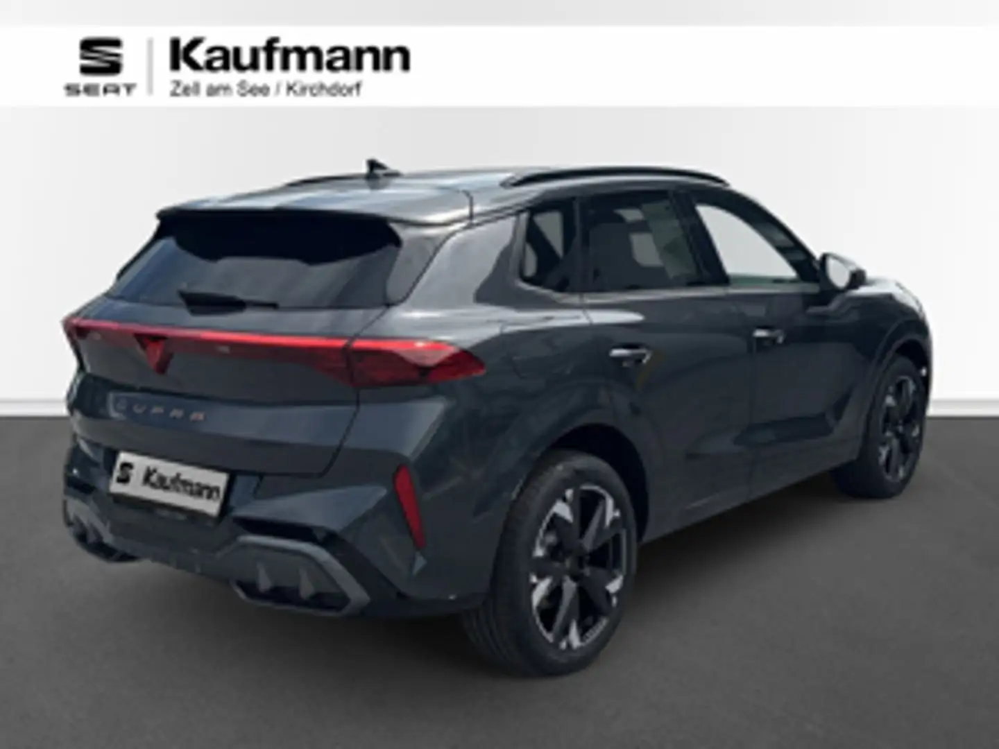 CUPRA Terramar 2.0 TSI 204 PS DSG 4Drive Grau - 2