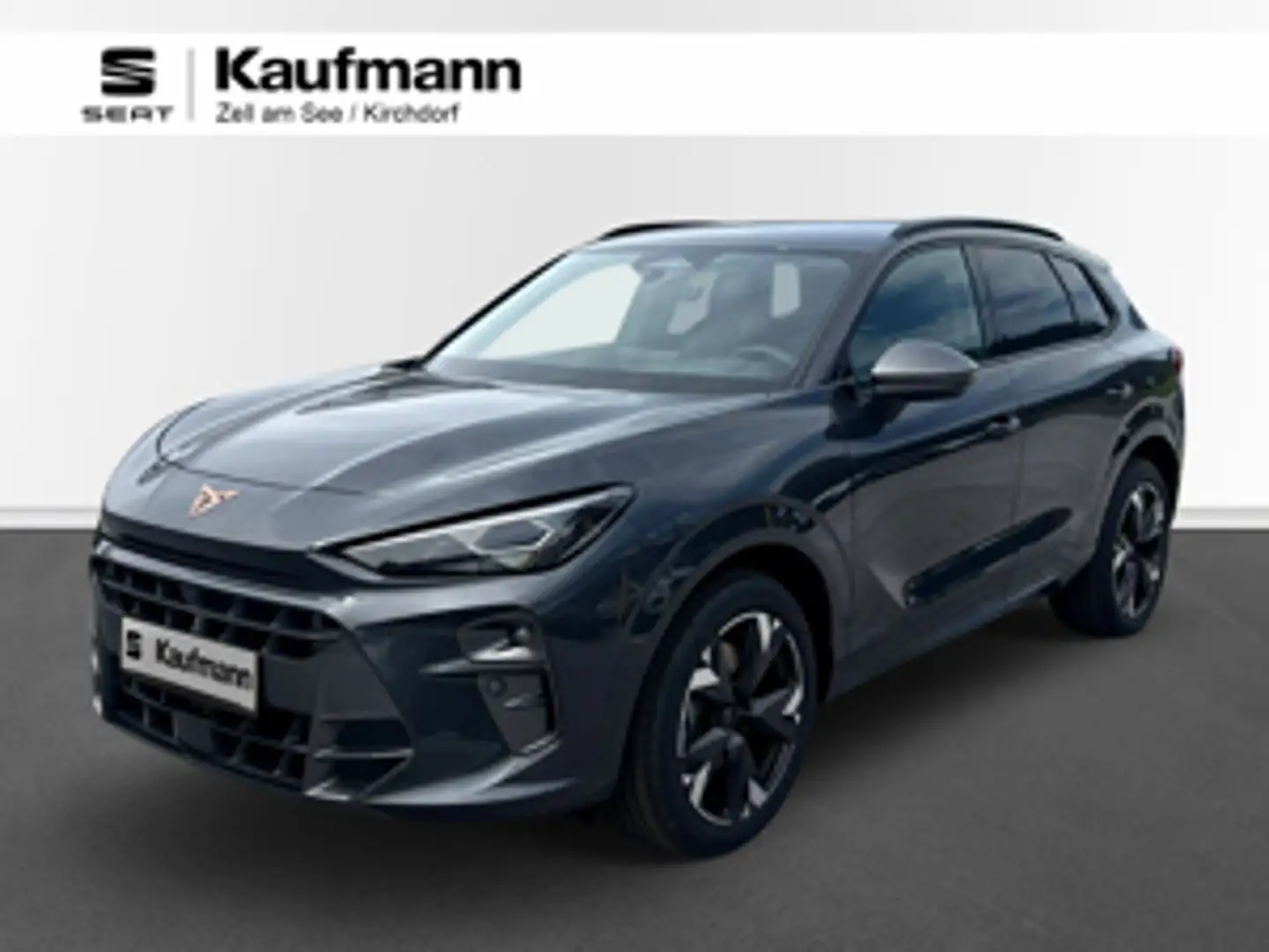 CUPRA Terramar 2.0 TSI 204 PS DSG 4Drive Grau - 1